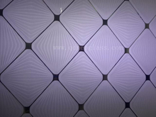 Acid Etched Design Glass (Frosted Glass, Satinize Glass)