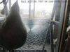 5.38-16.76mm White Translucent Laminated Glass-AS/NZS 2208: 1996, CE, ISO 9002