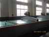 Silver Mirror WIth Safety Vinyl Back -AS/NZS 2208: 1996, CE, ISO 9002