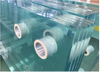 Toughened Laminated Glass-AS/NZS 2208: 1996, CE, ISO 9002